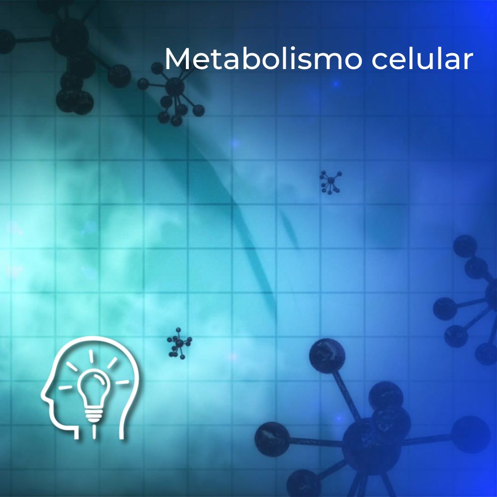 Metabolismo Celular Udgvirtual Formación Integral 4759